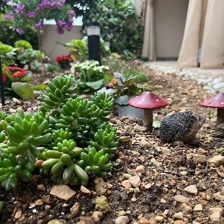 Dioklecian Dream Lejlighed *